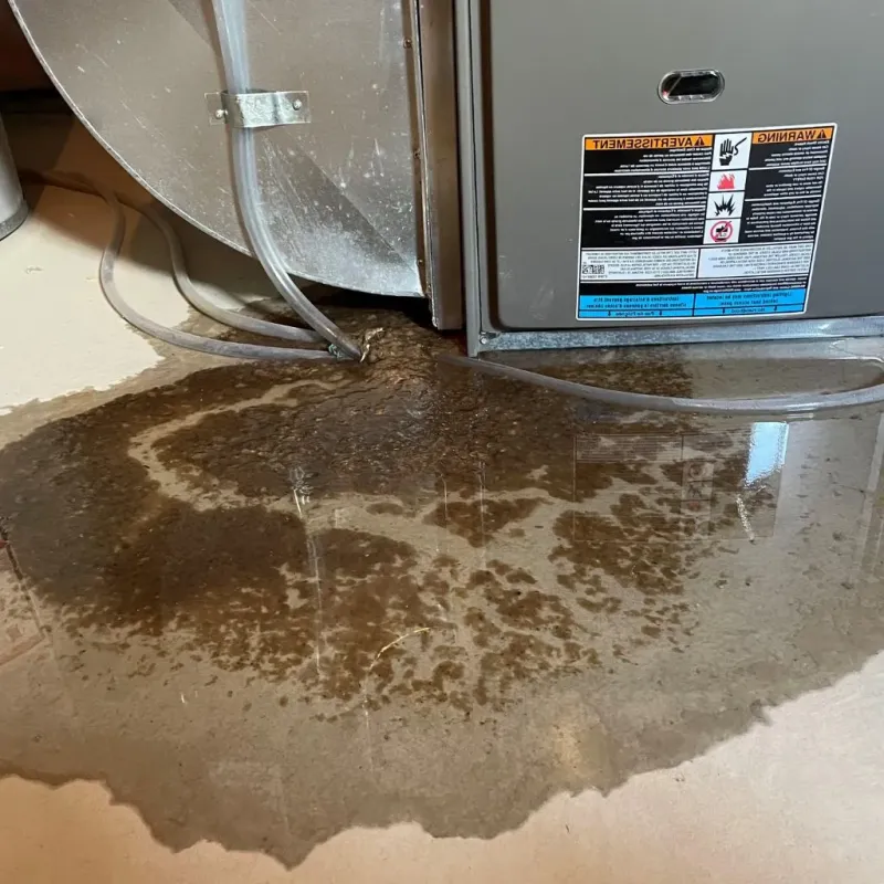 Pipe Burst and Leak Restoration in Aguas Claras, PR